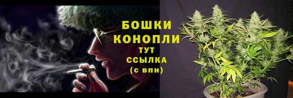 мдма Дмитриев