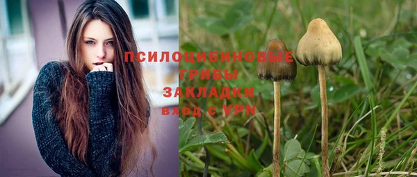 меф Ельня